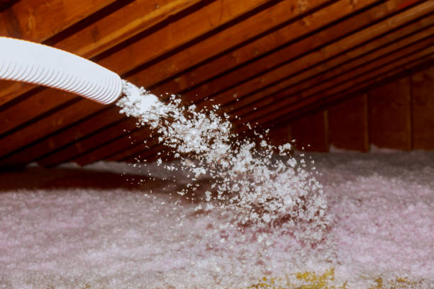 Best Energy Efficiency Solutions in Sparta, MI